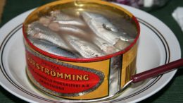 Surströmming-Dose, geöffnet. Foto © Wrote