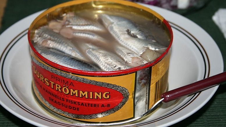 Surströmming-Dose, geöffnet. Foto © Wrote