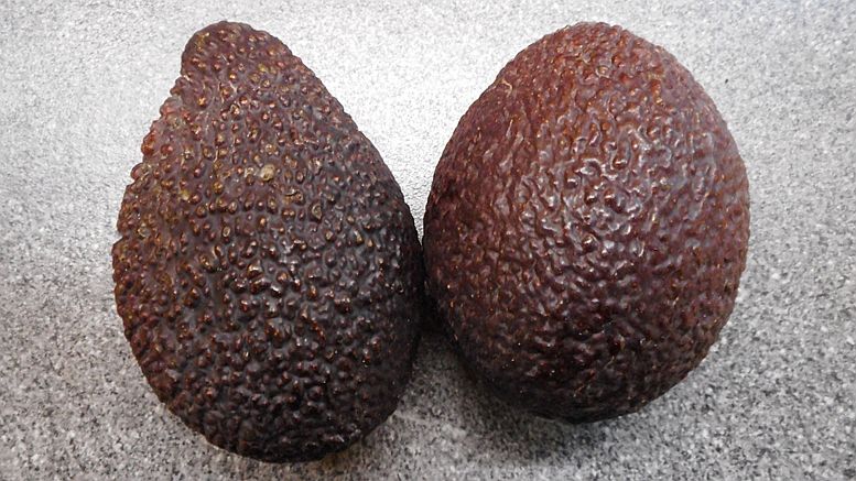 Avocados