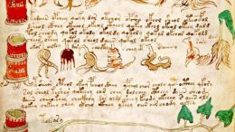 Detail aus dem Voynich-Manuskript