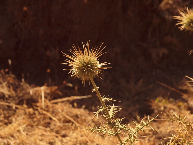 08