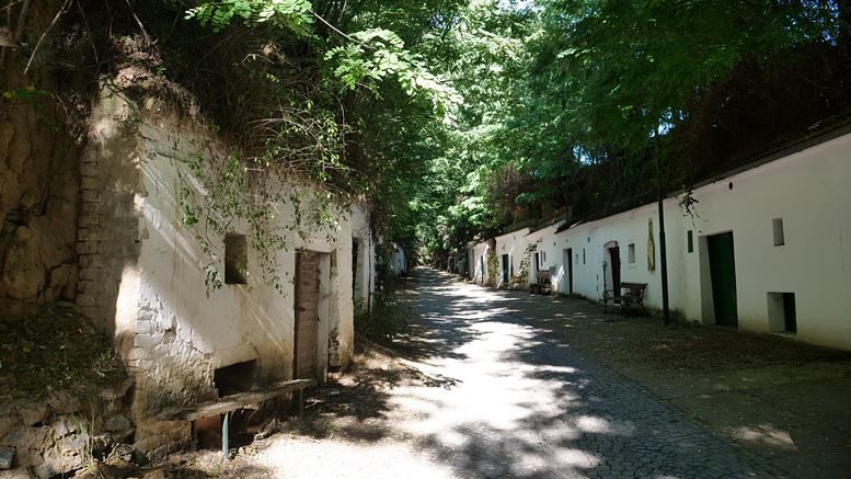 Kellergasse in Poysdorf. Alle Fotos: B. Denscher