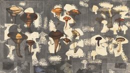 Gunter Damisch: Graulochpilzcollage (Ausschnitt), Foto: Günter König