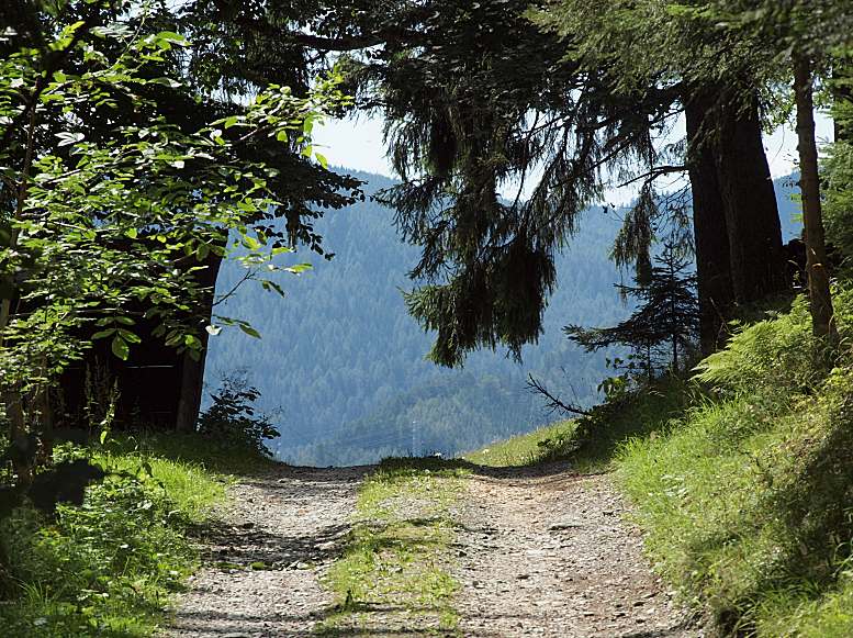 Wandern 07